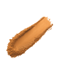 Pro Filt'r Instant Retouch Setting Powder — Hazelnut
